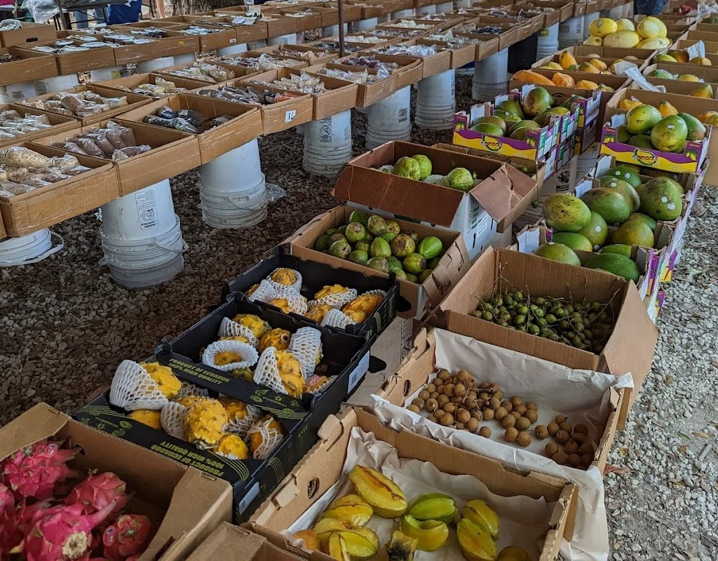 coconut-grove-market-miami