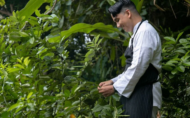 Sourcing Mindfully for a Sustainable Culinary Journey
