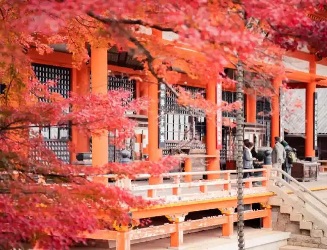 orange-Best Hotels in Osaka Japan