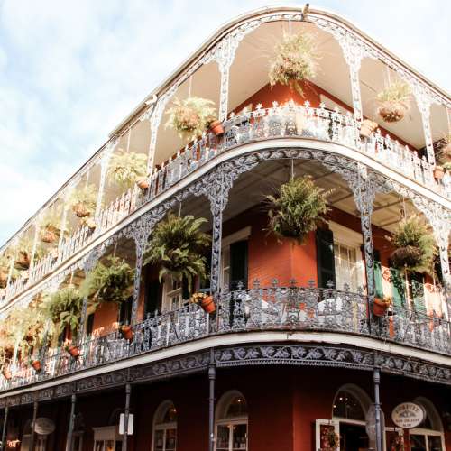 Organic-Travel-and-Lifestyle-New-Orleans-Travel-Guide-1
